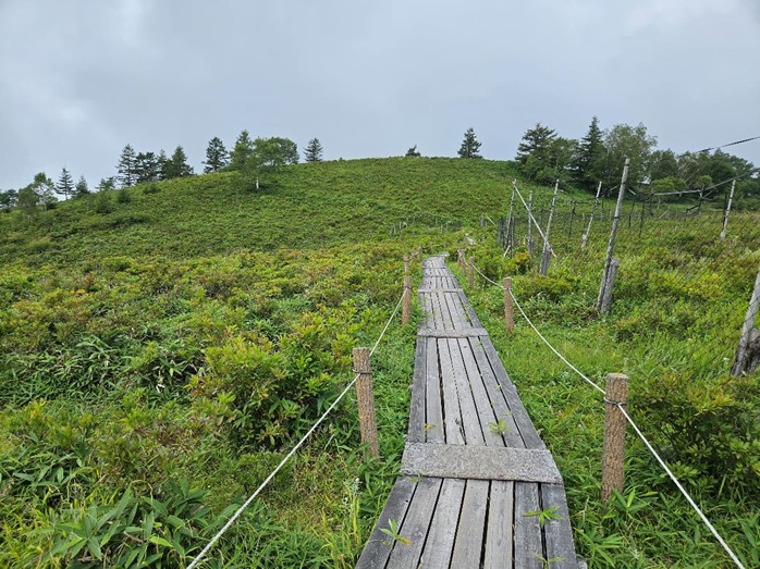 甘利山