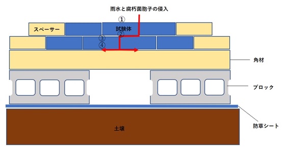 ダブルレイヤー試験