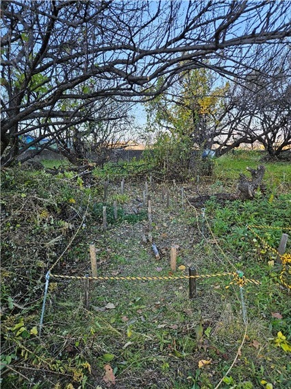 木材防腐剤性能比較（野外杭試験）5年1ヶ月経過して生き残りは3製品のみ！