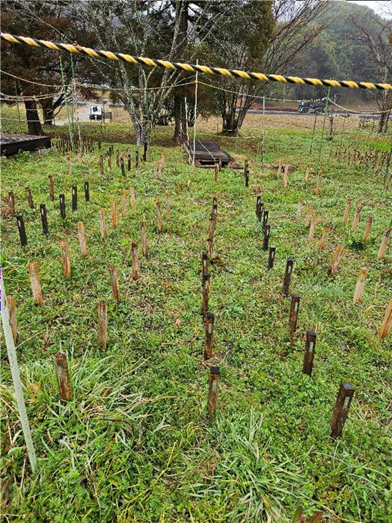 奈良県森林技術センターでの吉田製油所防腐剤試験