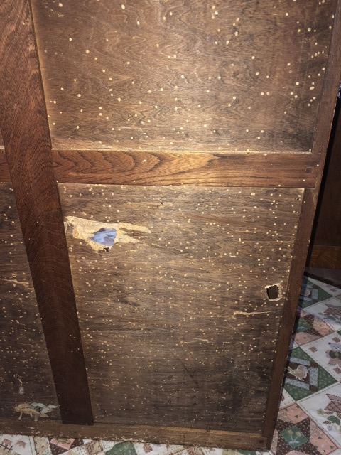 木製家具のシバンムシ被害