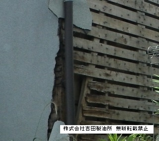 地震で被害を受けた住宅の蟻害、腐朽