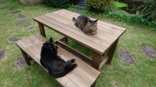 ガーデンファーニチャー（ガーデン家具）が猫の憩いの場に！